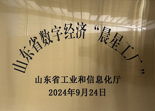 山东省数字经济“晨星工厂”