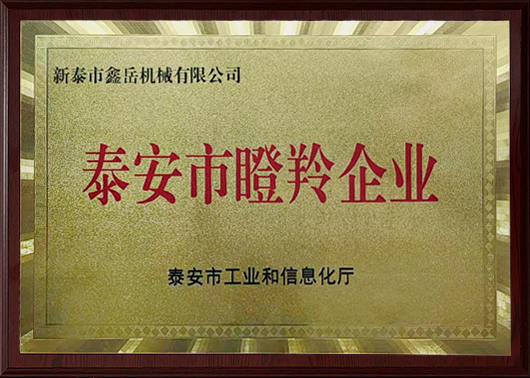 泰安市瞪羚企业